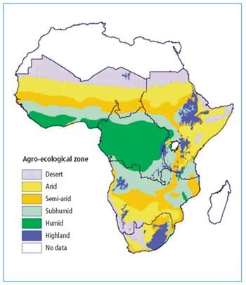 Why is the body structure of African agriculturalists like the #Hutu robust and muscular, while nomadic pastoralists, like the #Tutsi, are slender and taller? Did God create them that way to occupy different territories?

For centuries, if not millenniums, all Nomadic