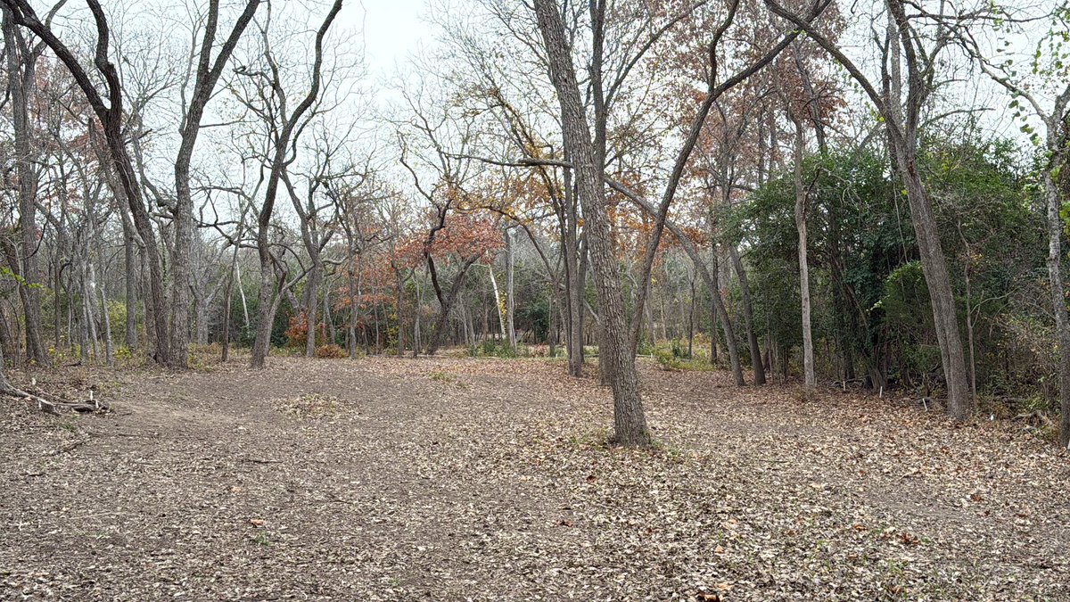 Playing a solo morning round at Sprinkle.  I might play disc golf every day this week.  Temps near 80° all week!