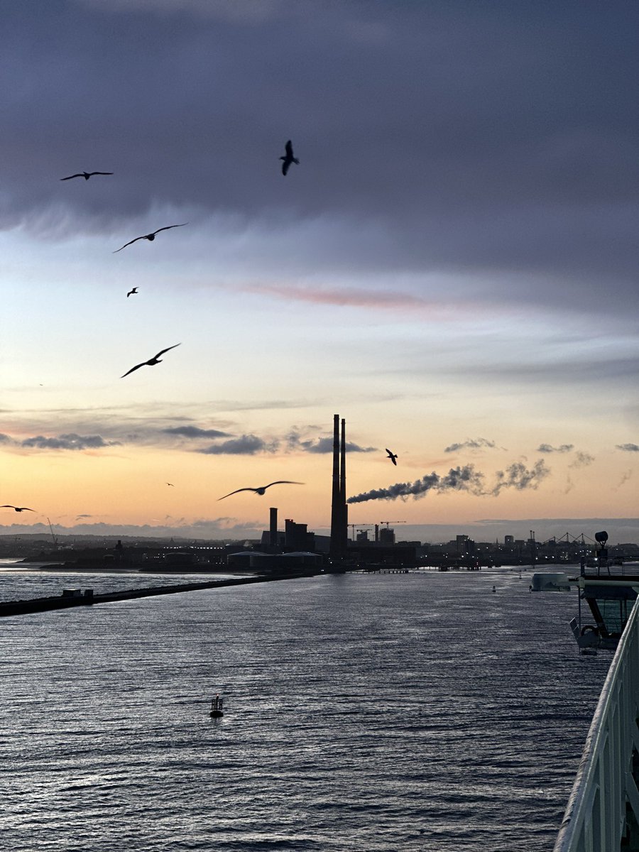 Mark O'Brien O’Reilly tweet media