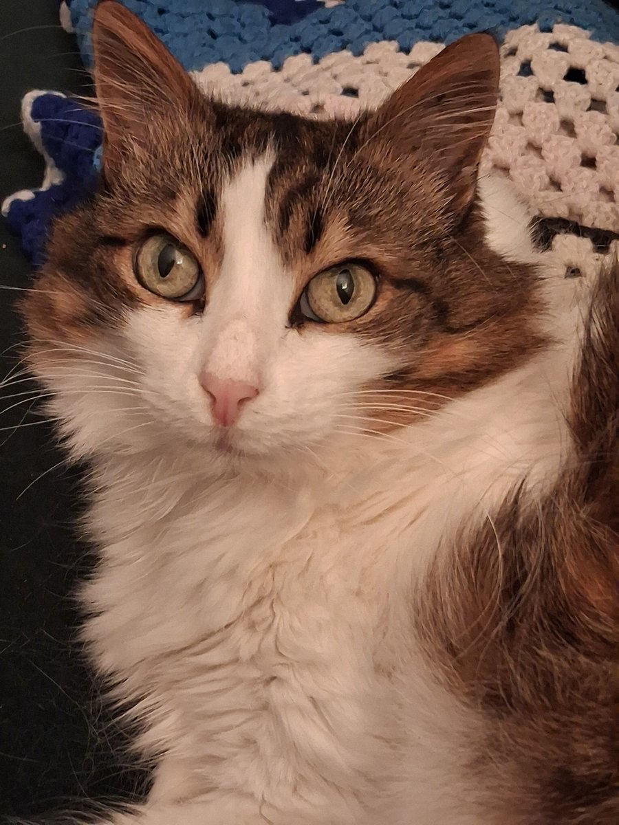 Bella.