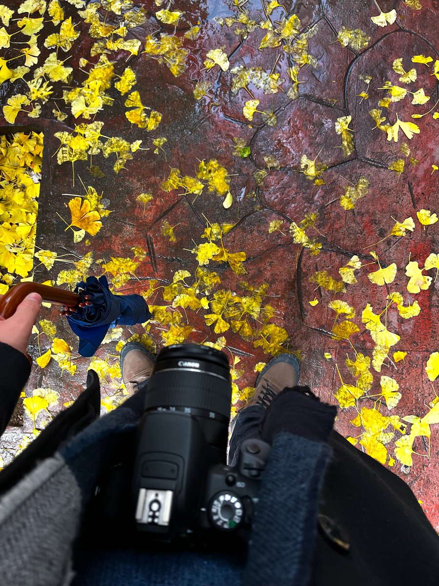 İçimi ısıtmaya çalıştığım bir gün.