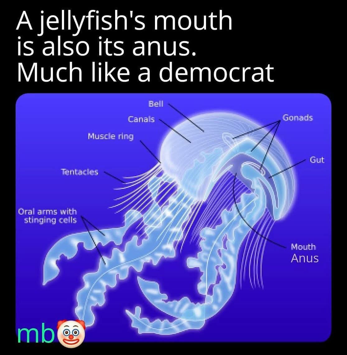 RConcepcio25346's tweet photo. @SharonT06724426 @BaltIntRad @acnewsitics Demon-rats don't wise up! They get hyper fixated andd more obsessed, ranting, raging, nasty, vile, wicked and evil.... typical signs of mental derangement! https://t.co/QT2DvWBFHH
