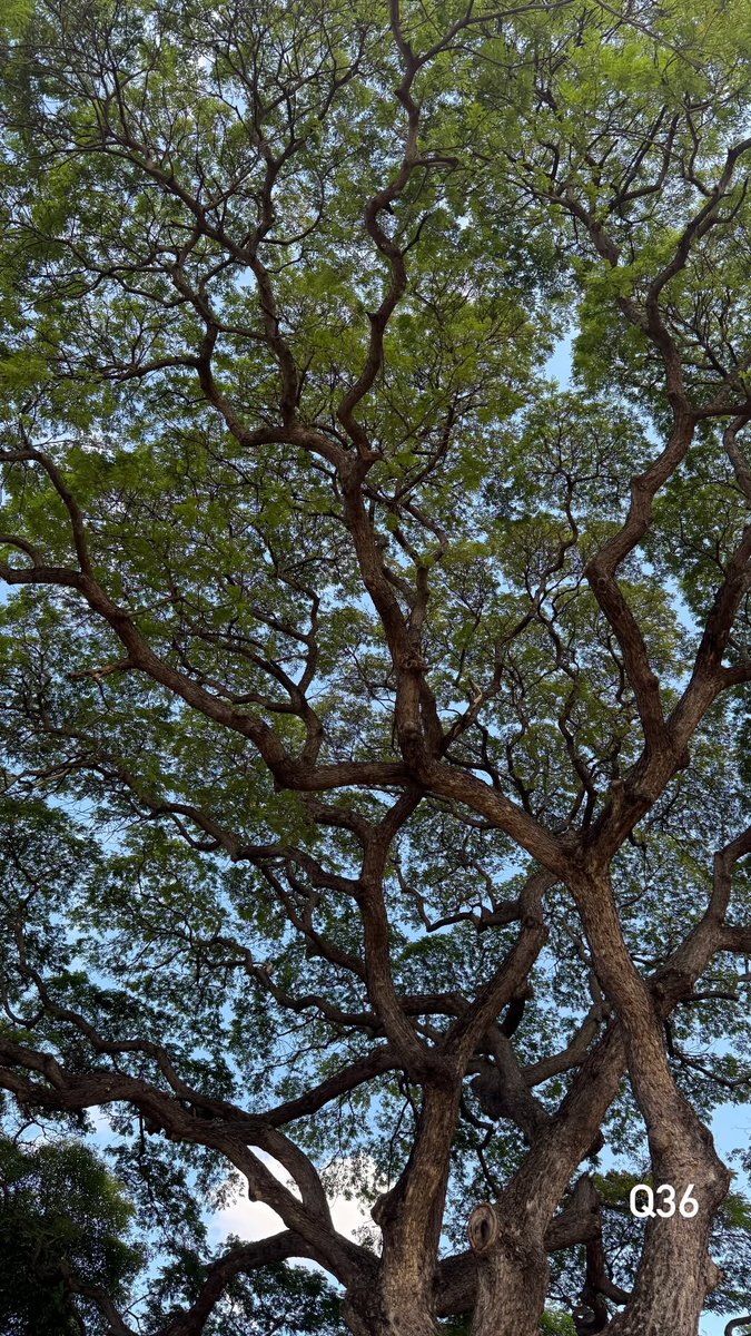 CiizeRutricha's tweet image. [ Ciize Update ] IG S  221225 

IG : Ciizezphr

— Q36 คิวที่36แล้วสู้ๆน้าาคนเก่ง

*¨*•.¸¸ @Ciize155cm 🩵

— #Myfanze #ciizezphr #CiizeRutricha