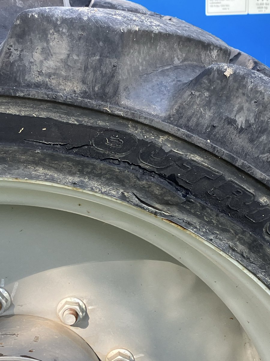 canadian Patriot tweet media