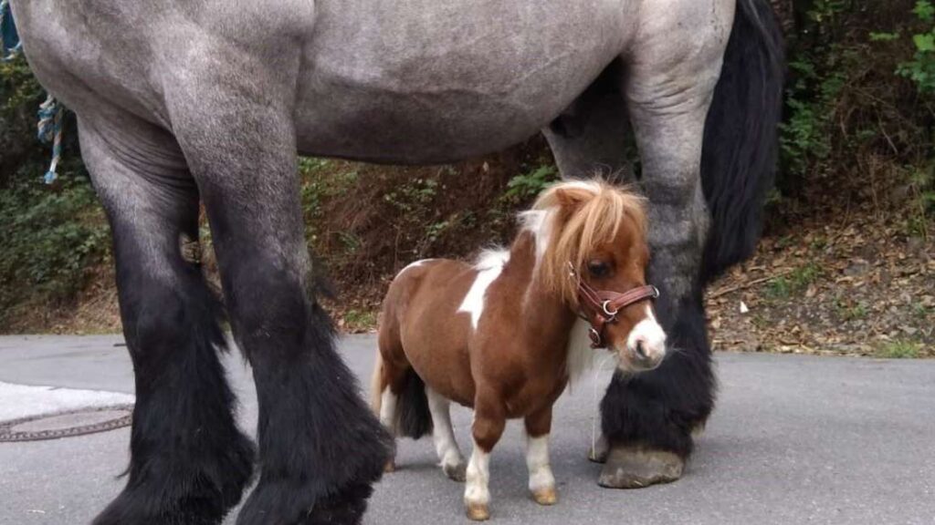 soup | radiohead (@chiccensoup) on Twitter photo 