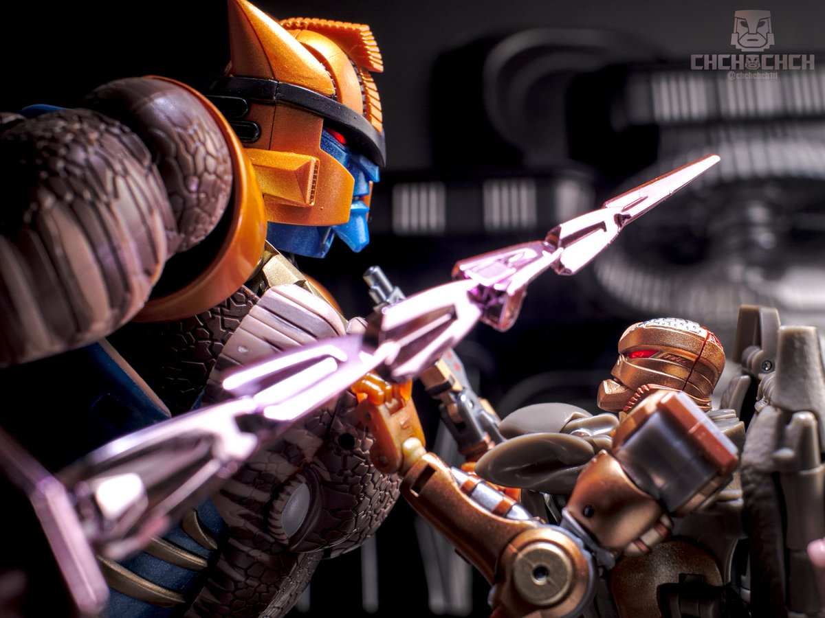 Rattrap Roundup

#Transformers