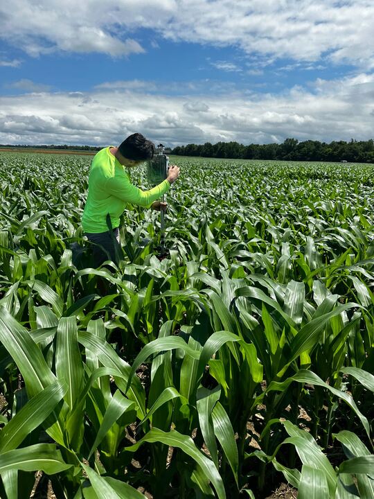 FarmersDataLab's tweet image. We study farmer-led on-farm experiments using digital agronomy and field-scale data. Follow for research updates and insights from real farms.