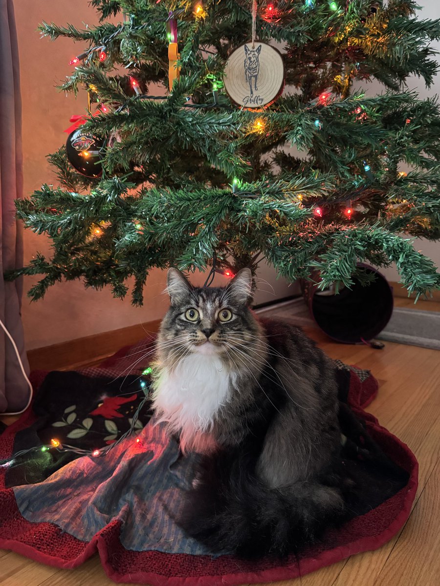 fredandsmoke's tweet image. a (christmas) baby