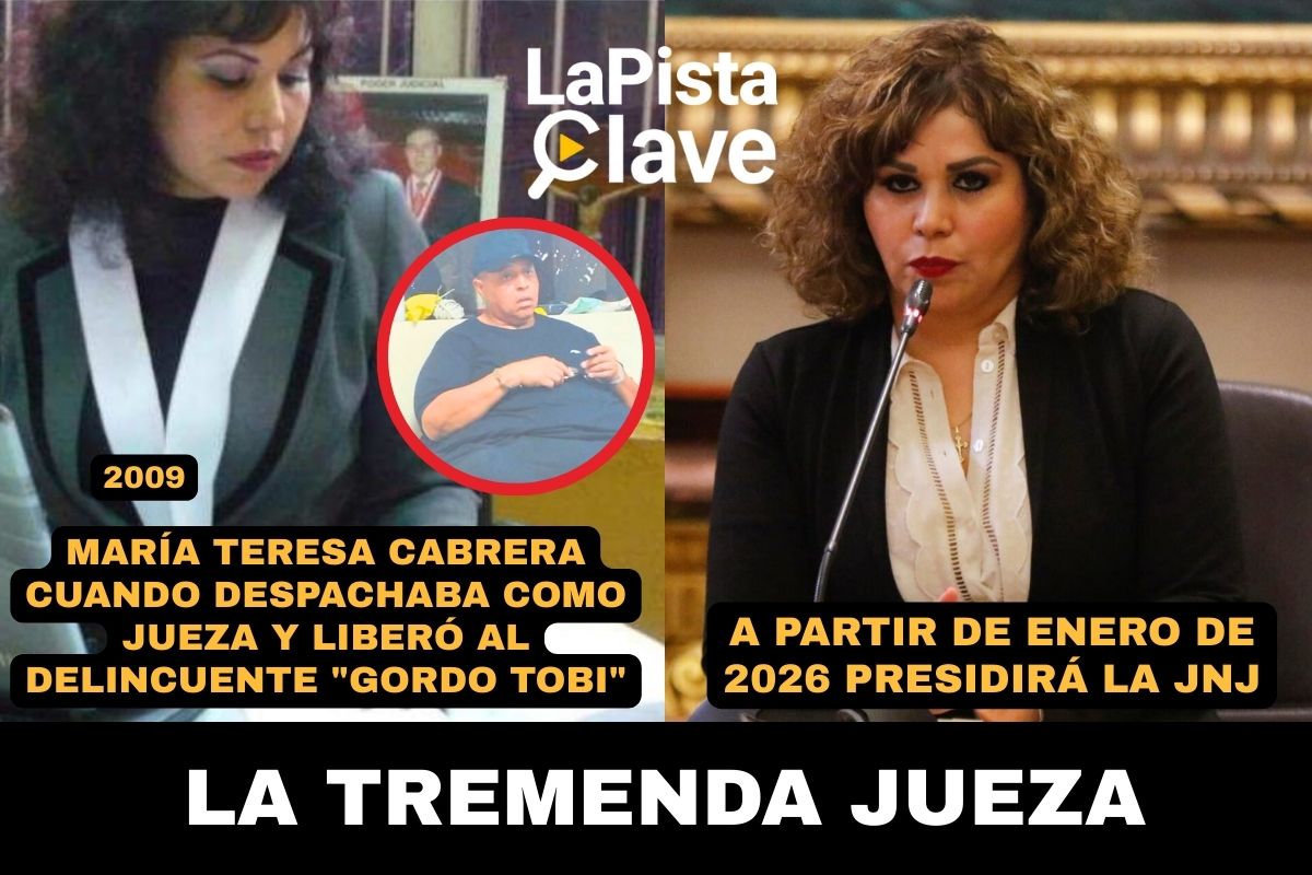 Esta es la increíble historia del "gordo Tobi" y una exjueza. Él es un avezado delincuente que ha cometido todos los delitos posibles: robo agravado, homicidio calificado, extorsión y ahora se dedica al narcotráfico de alto vuelo. Está prófugo de la justicia porque tiene una