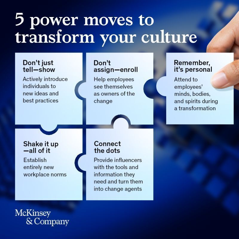 antgrasso's tweet image. An inclusive culture is now a must for companies that want to meet talent, performance, and productivity objectives.

Five moves can help leaders accelerate the process of turning around their cultures. 

Source @McKinsey Link mck.co/4e6w3I7 via @antgrasso #Leadership