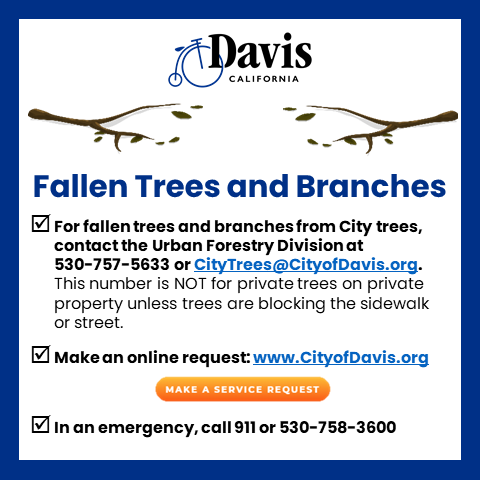 City of Davis tweet media