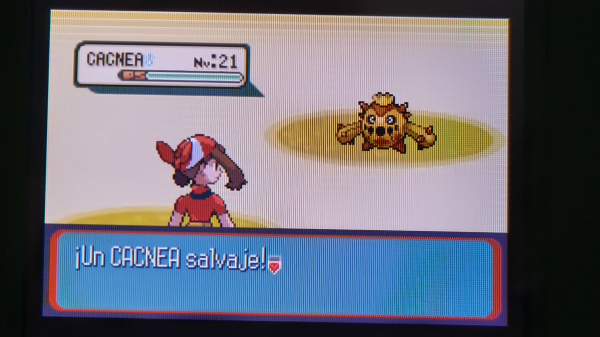 Patata 🥔 tweet media