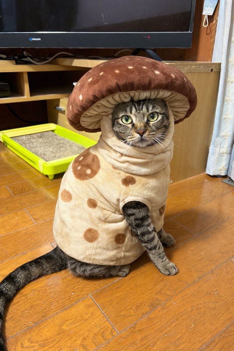 Грибовидное