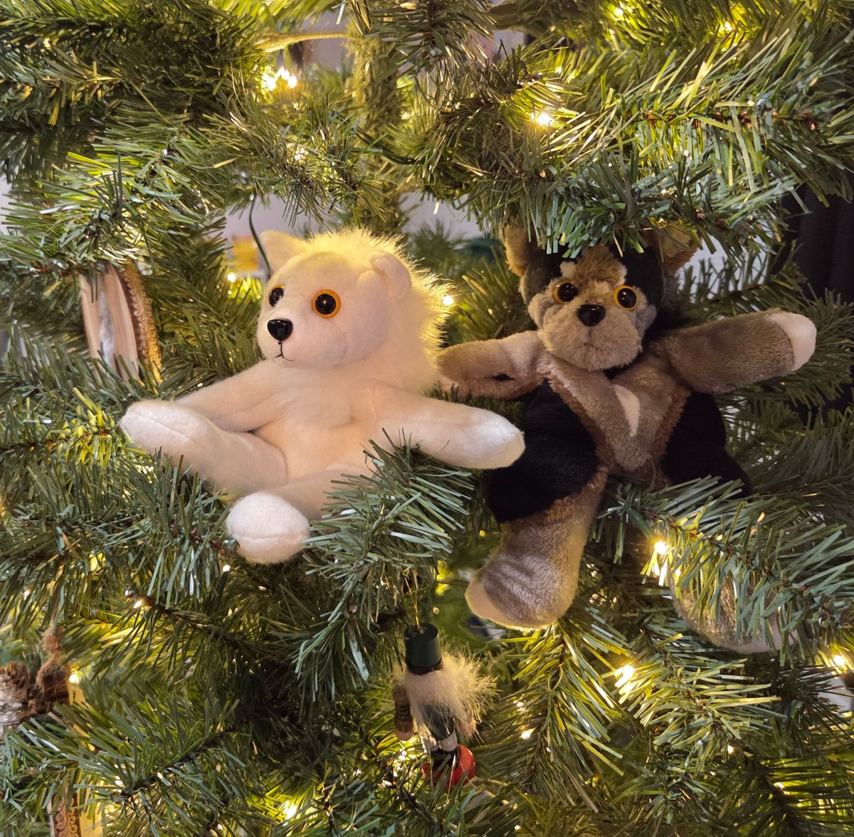 Lazywolf tweet media