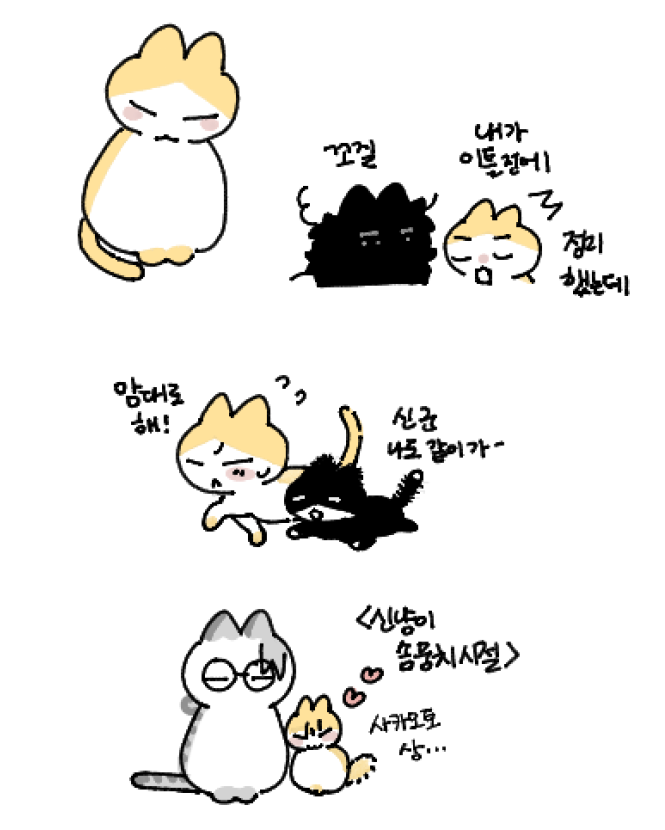 SKMTO3O's tweet photo. https://t.co/vthYFGQM44