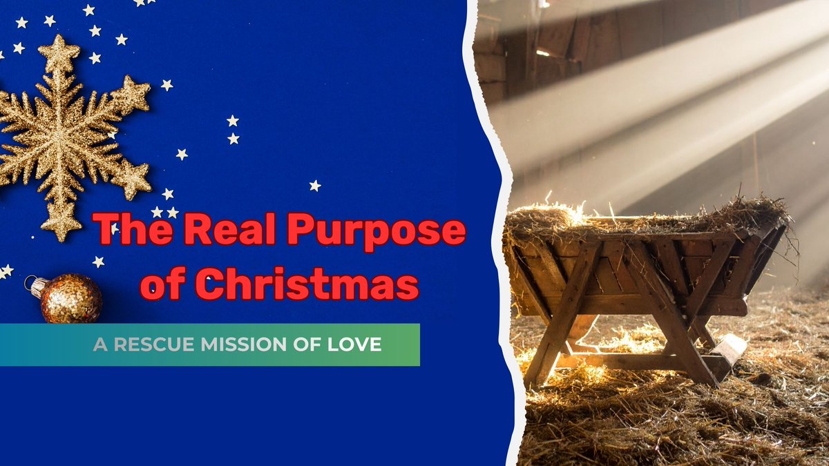 GLFCFL's tweet photo. Christmas isn’t just a holiday—it’s a rescue mission. 🎄

Our new blog, The Real Purpose of Christmas: A Rescue Mission of Love, is live now.
From the manger to the cross to adoption—this changes everything.
🔗 https://t.co/XOI2634zJK https://t.co/Aq3gHyv6ou