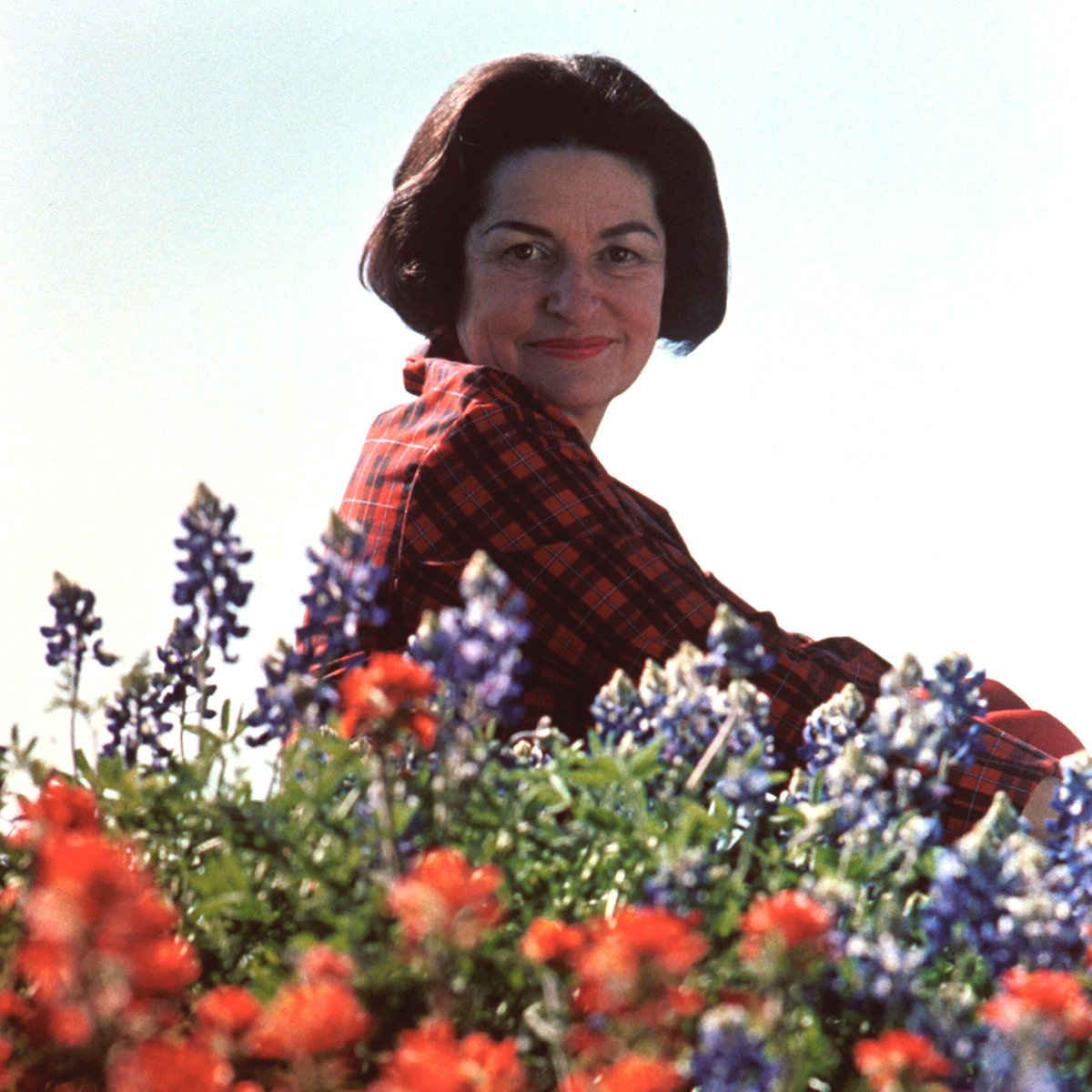 Wildflower Center tweet media