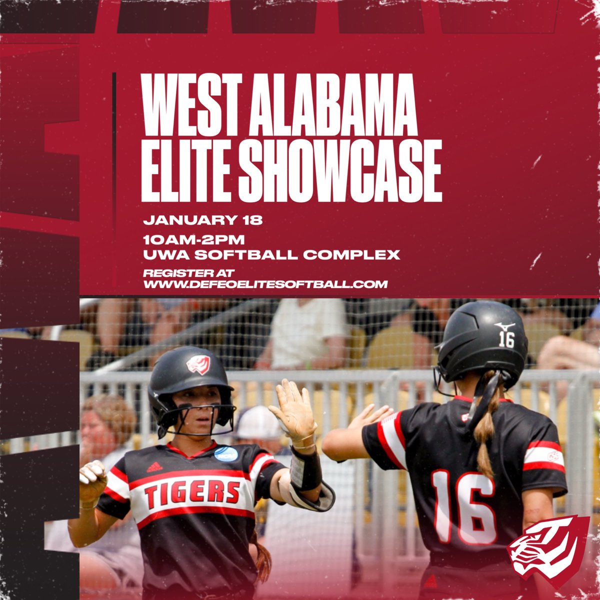 UWA Softball tweet media