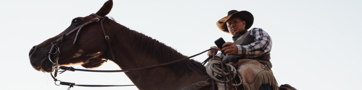 Progressive Cattle tweet media