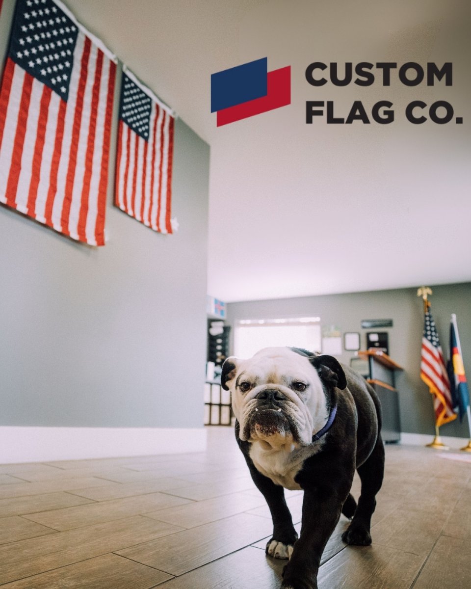 CustomFlag's tweet image. Our flags are so doggone good, they last through rain and shine! When you invest in a custom flag or banner from us, you're investing in quality. Get a flag that keeps flying high, year after year. You’ll be pawsitively proud of your flags!

#QualityCraftsmanship #CustomFlags