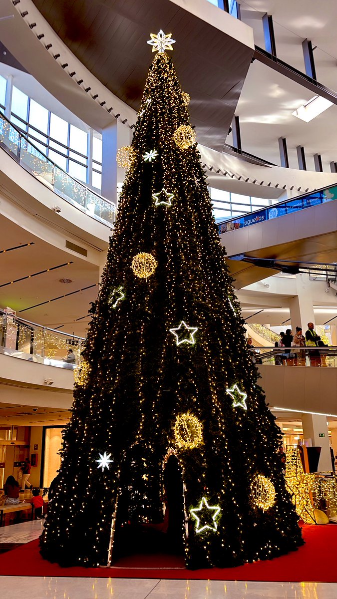 🎄🎁🛍️ #shopping #Christmas #holiday