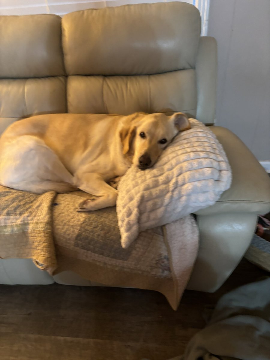 Christy Walker tweet media