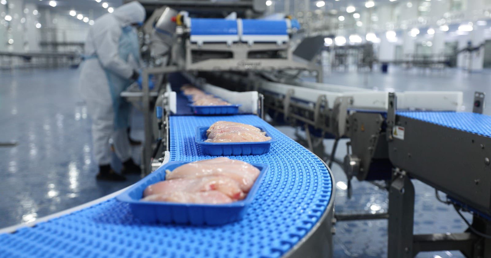 وزارة الزراعة العراقية: منع استيراد الدجاج والمقطعات والمصنعات سيدخل حيز التنفيذ ابتداءً من 15 كانون الثاني لعام 2026 