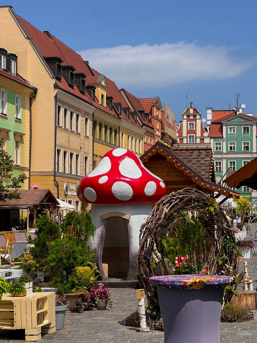 yammy☘️ tweet media