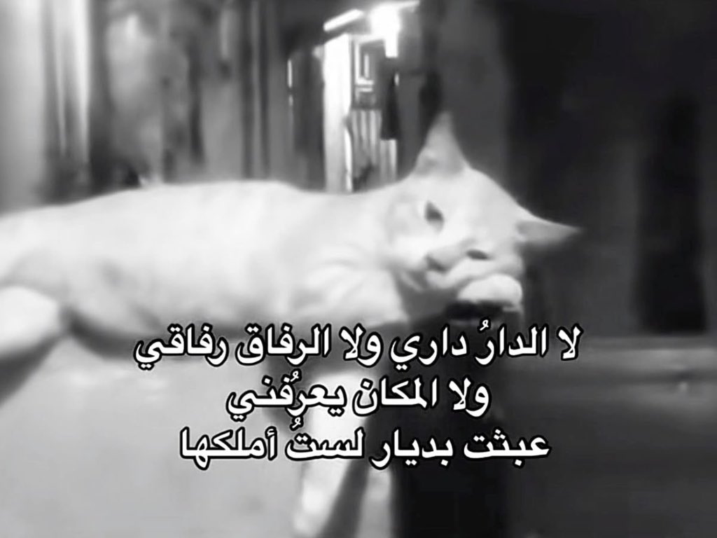 ,٫، (@_iilvel) on Twitter photo 