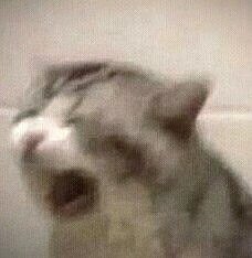 elcopollo's tweet image. I'D MASSACRE 🗡️🗡️🗡️
ALL OF HEAVEN FOR YOU 🤍
SPILLING THE BLOOD 🩸🩸🩸
OF EVERY ANGEL 💀🪽