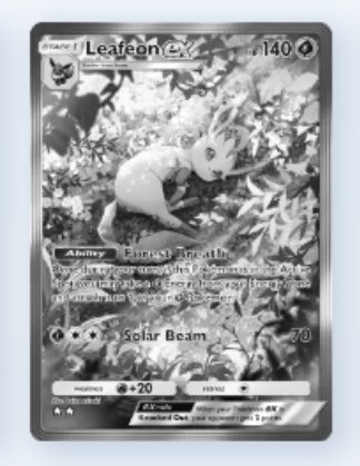 Kashaa ☆ tweet media