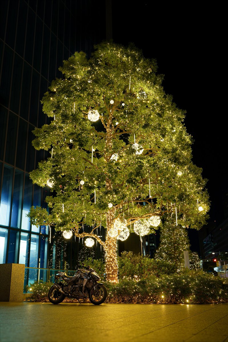spon_a08's tweet photo. クリスマスじゅうぶんに満喫🎅 https://t.co/oXeqaC2BNX