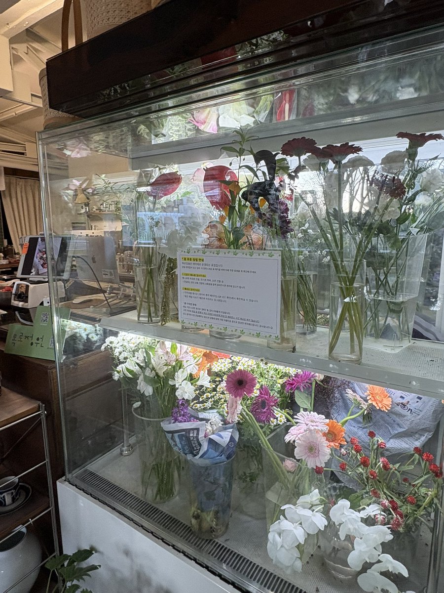 ninicrease's tweet image. 식물들의 공간을 빌린 느낌