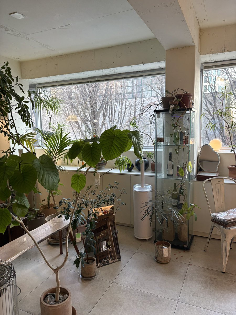 ninicrease's tweet image. 식물들의 공간을 빌린 느낌