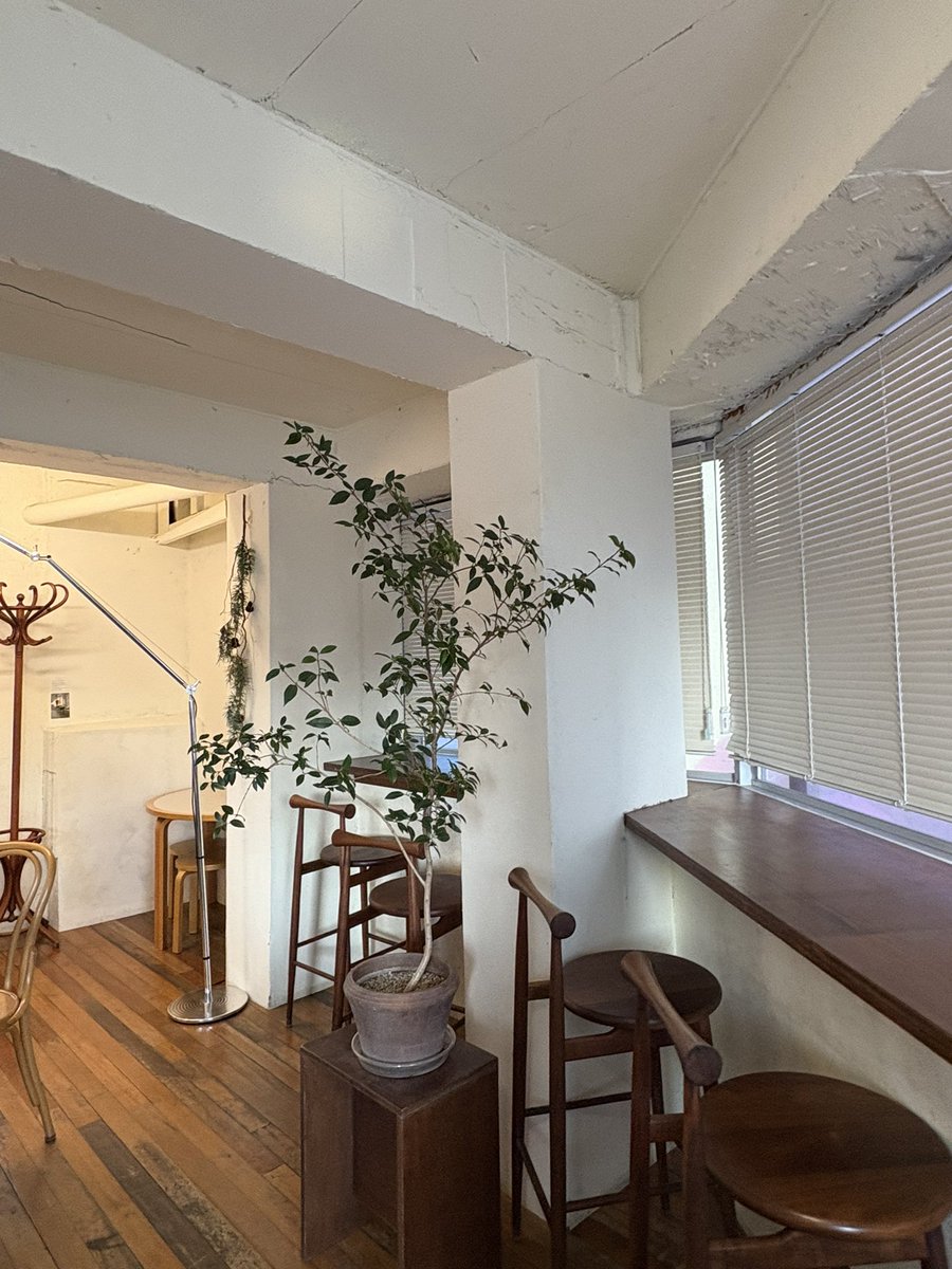 ninicrease's tweet image. 식물들의 공간을 빌린 느낌