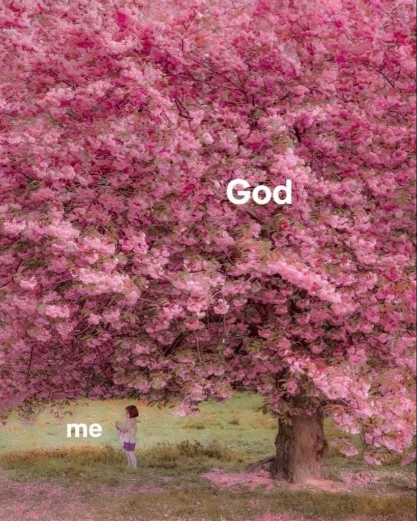 Mrbankstips's tweet image. 