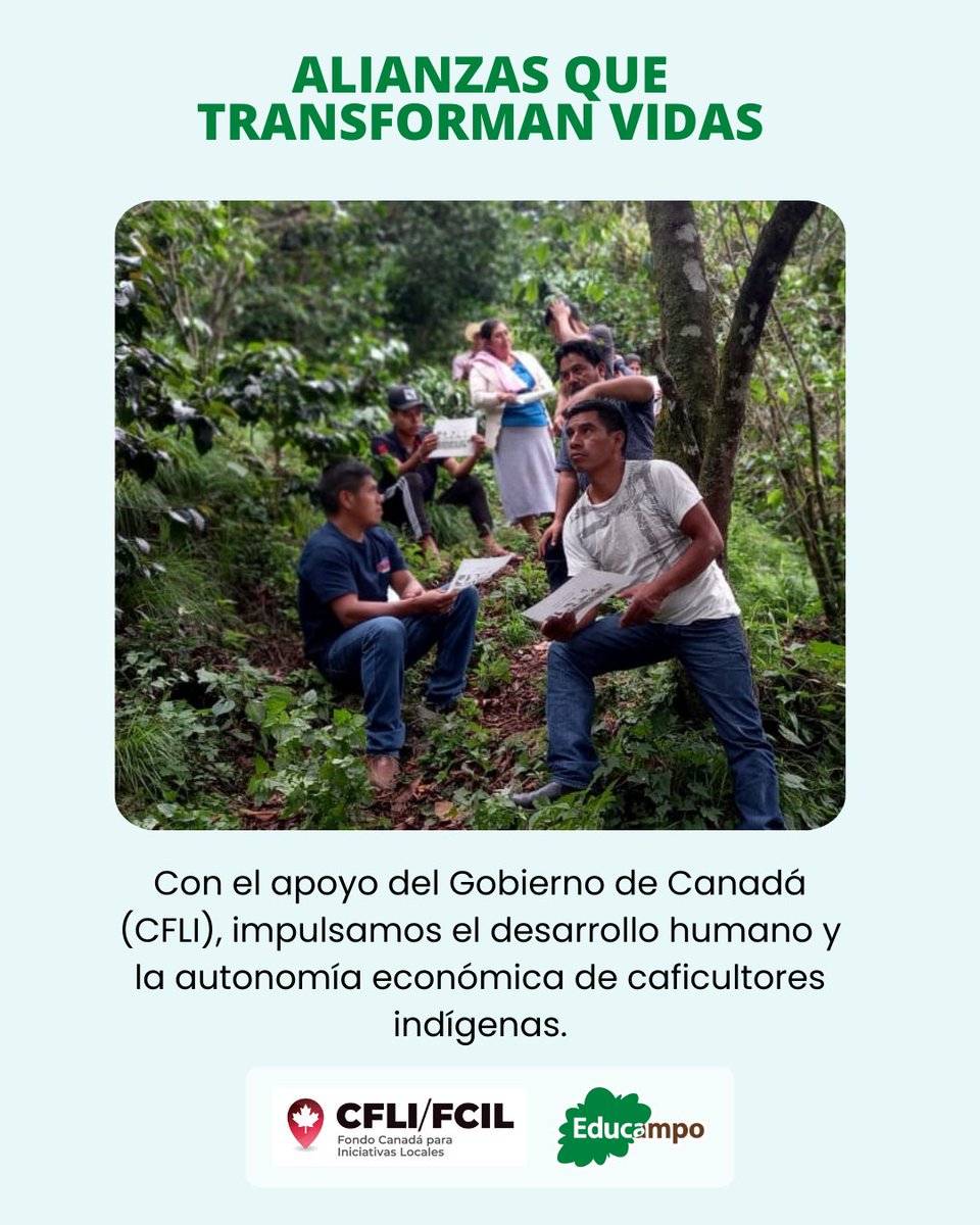 Las alianzas estratégicas generan impacto real. Con el apoyo del Gobierno de Canadá, a través del Fondo Canadiense para Iniciativas Locales (CFLI), Educampo fortalece el desarrollo humano y la autonomía económica de caficultores indígenas en Chiapas ☕🌱. #Educampo #CFLI