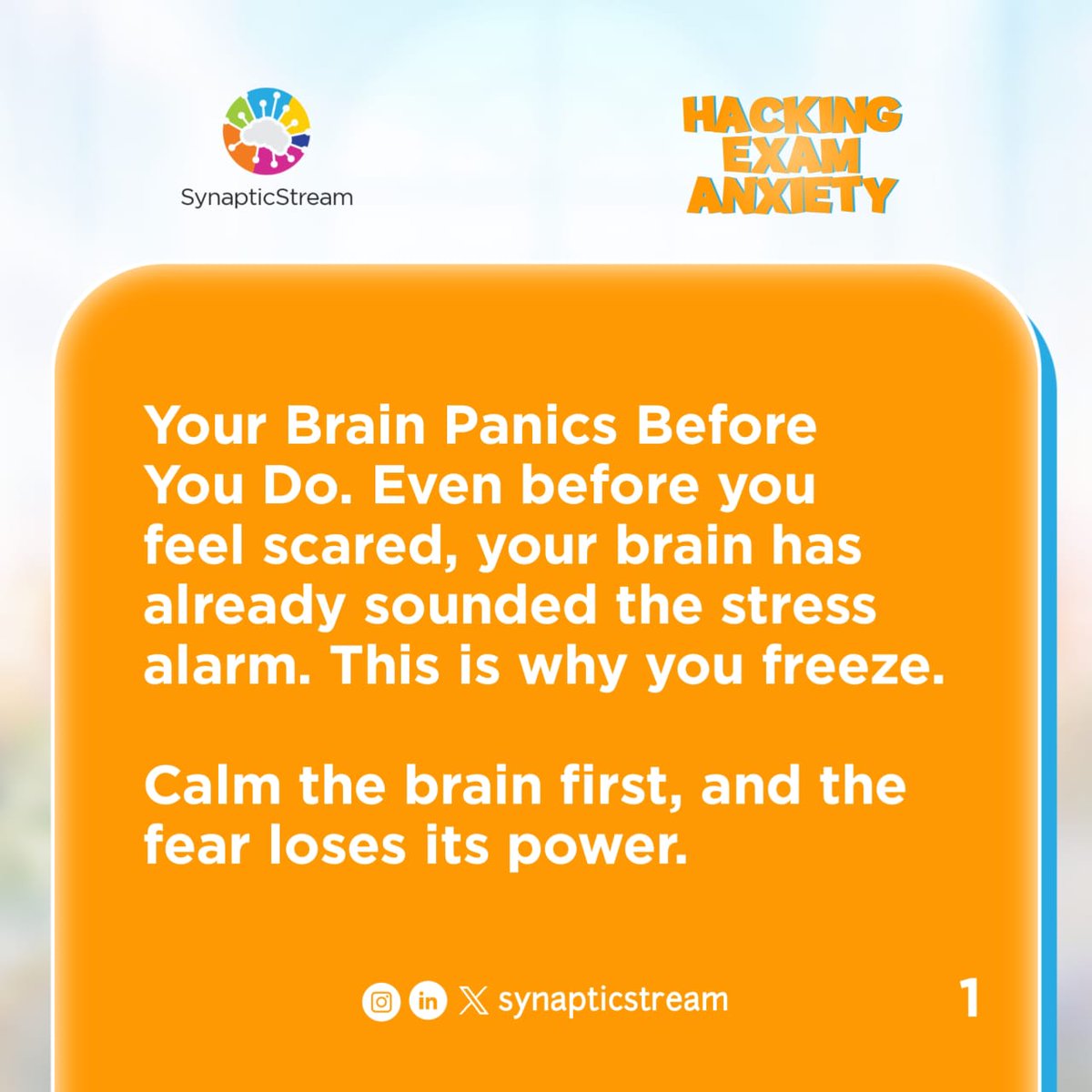 SynapticStream's tweet photo. Your brain doesn’t forget under pressure, it goes into survival mode. For many of us, exams feel like danger, so fear takes the wheel and the knowledge we have accumulated hides. 

A thread🧵 https://t.co/SbzAO7CST5