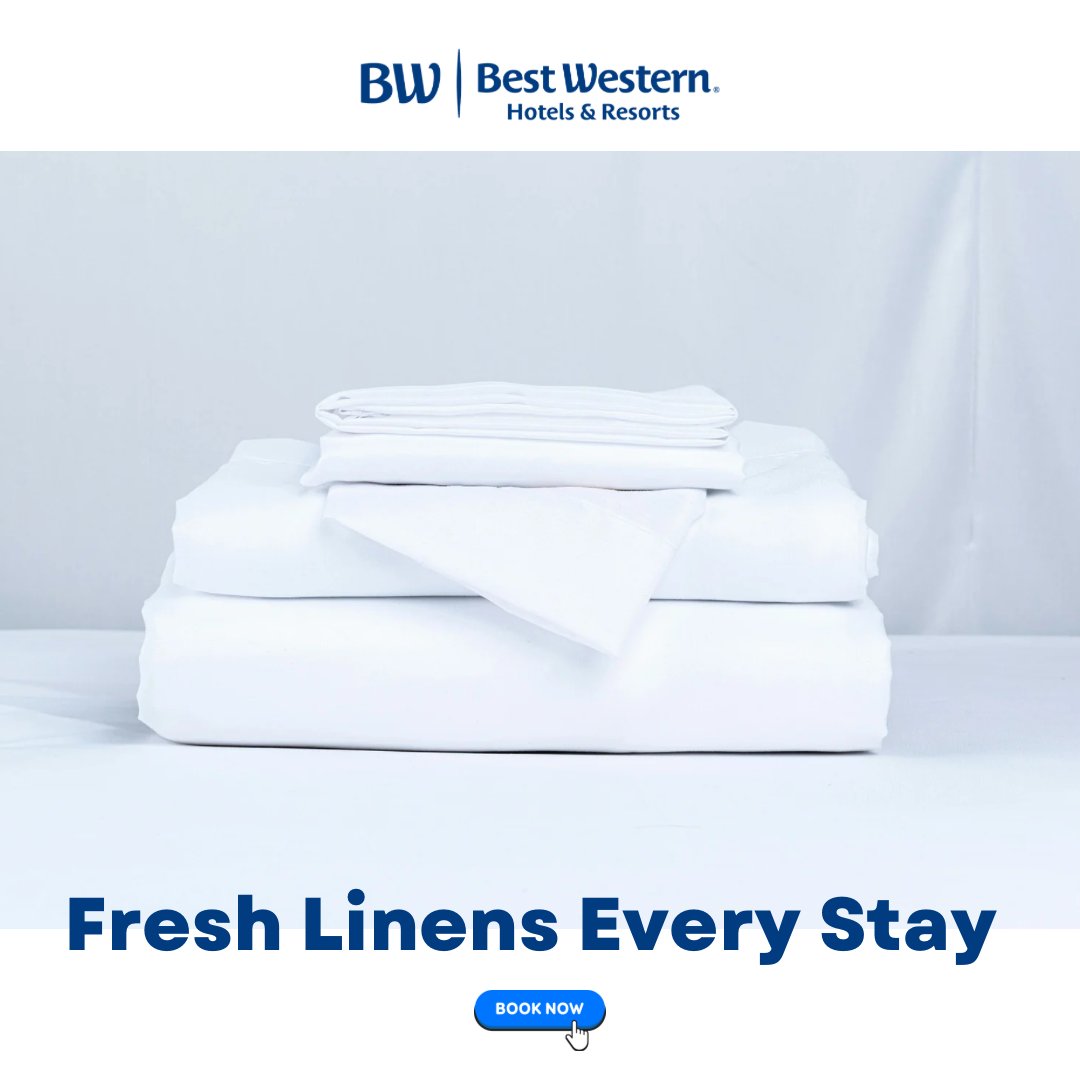 BestWesternHVS's tweet image. Fresh linens. Every stay. Every time. ✨
Book your stay at Best Western Hesperia–Victorville Suites.
#BestWesternHesperia #FreshLinens #CleanComfort