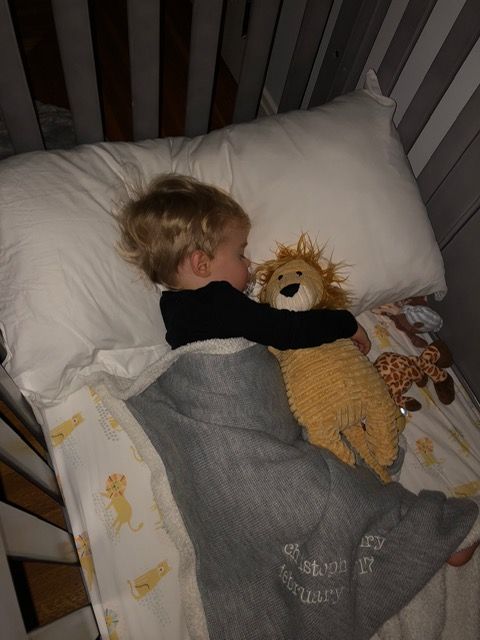 🪽 (@babysmelll) on Twitter photo 