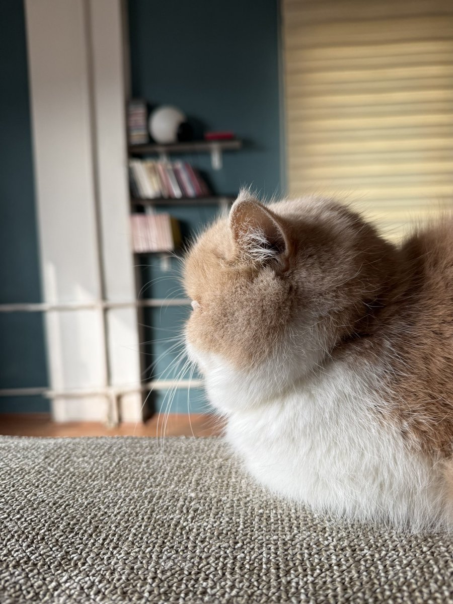 Beraber dalıyoruz..