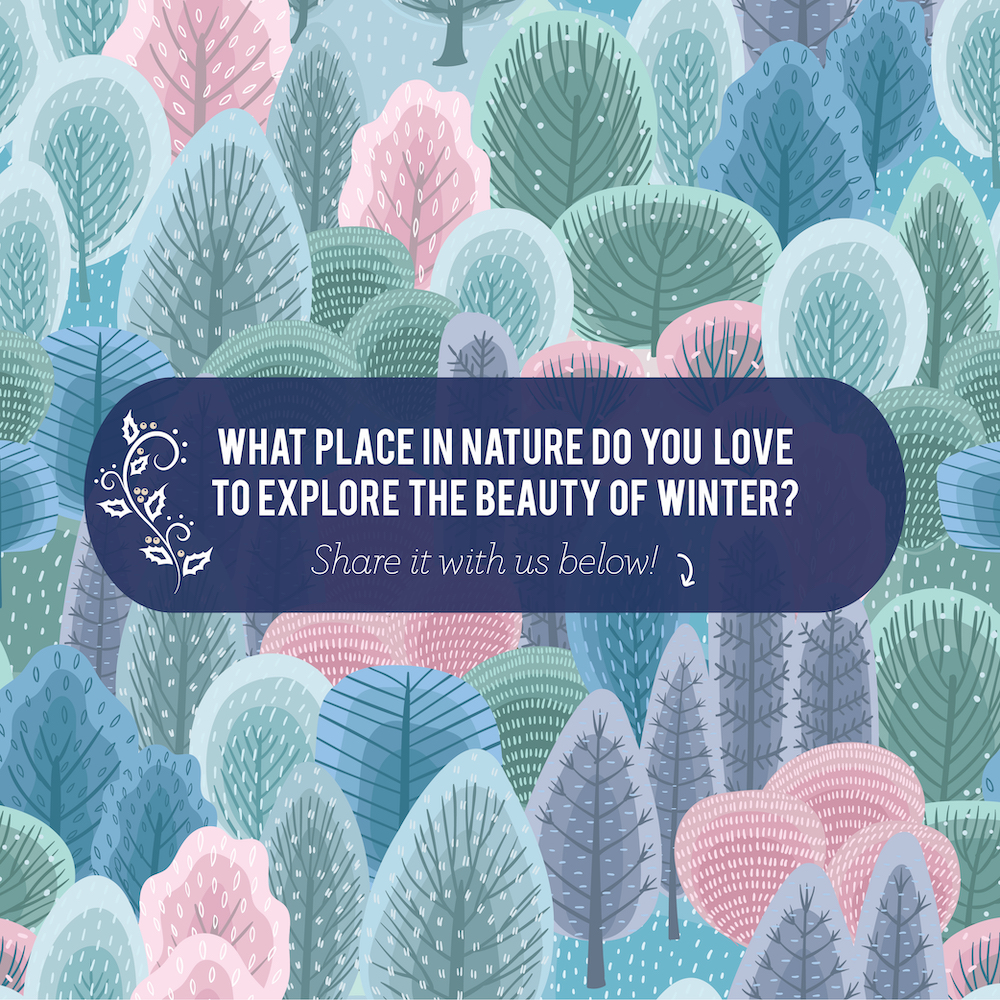 FieFieSutandi's tweet image. Do you have a favorite place in nature to enjoy the beauty of winter? Tell us about it below!
FieFieSutandi.com #Century21 #HoustonRealEstate #HoustonTX #realtors #Century21Western