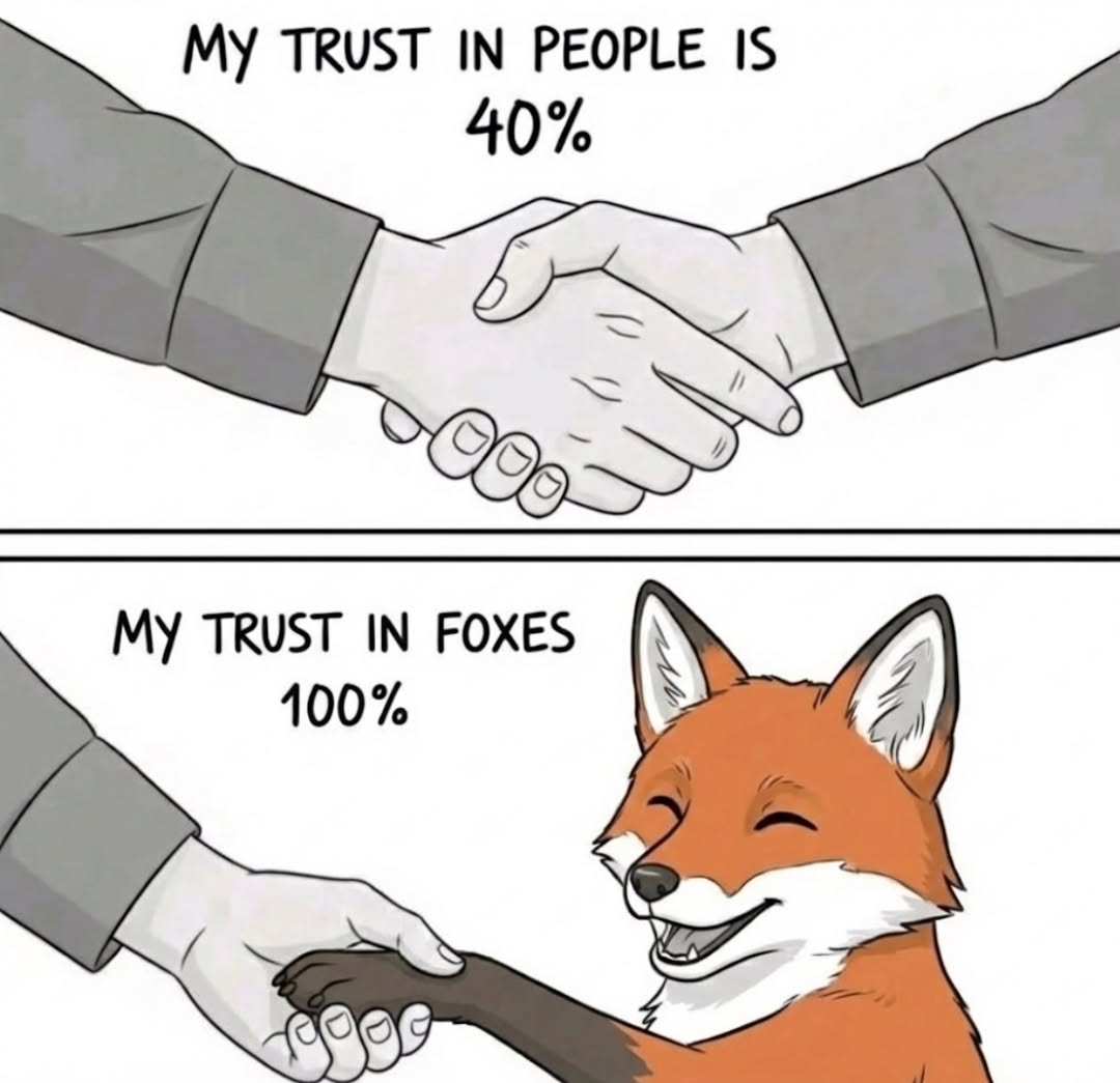 Do you confirm 🫣❤️