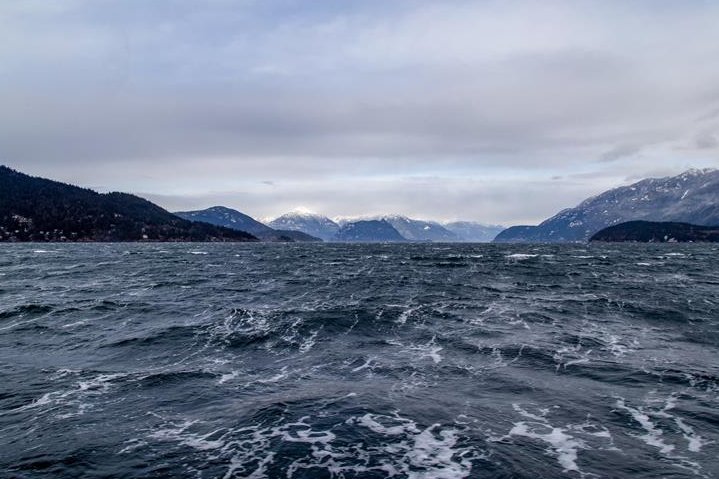 BC Ferries tweet media