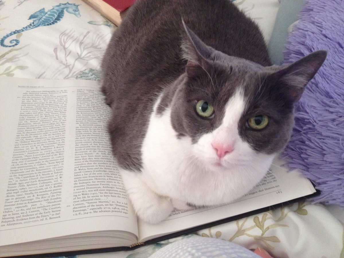 AlysofBath's tweet image. Millie was always a very good study buddy/project assistant. She would probably say project manager.