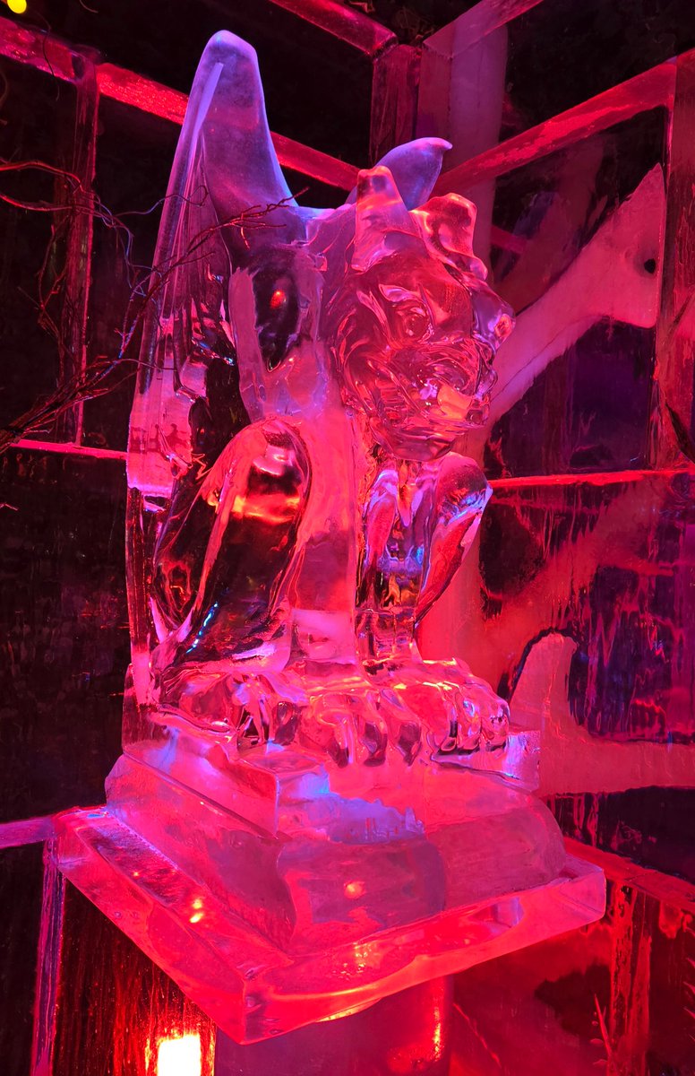 If you are in Edinburgh over the christmas and hogmanay period the Polar Ice Bar in George Street is fun.   It's -8° degrees but you only get half an hour inside, so you don't freeze to death.  Plus the entry price includes a cocktail served in an ice glass. 🍹