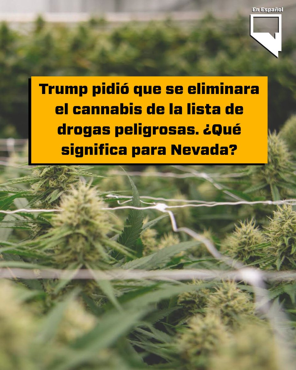 Nevada Independent En Español tweet media