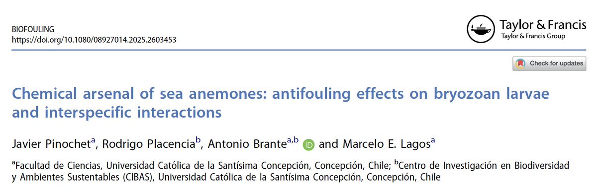 dr_lagos's tweet photo. My new publication is online! Maybe we can make antifouling with anemone exudates? Well done team!! https://t.co/37AGKTHEDj