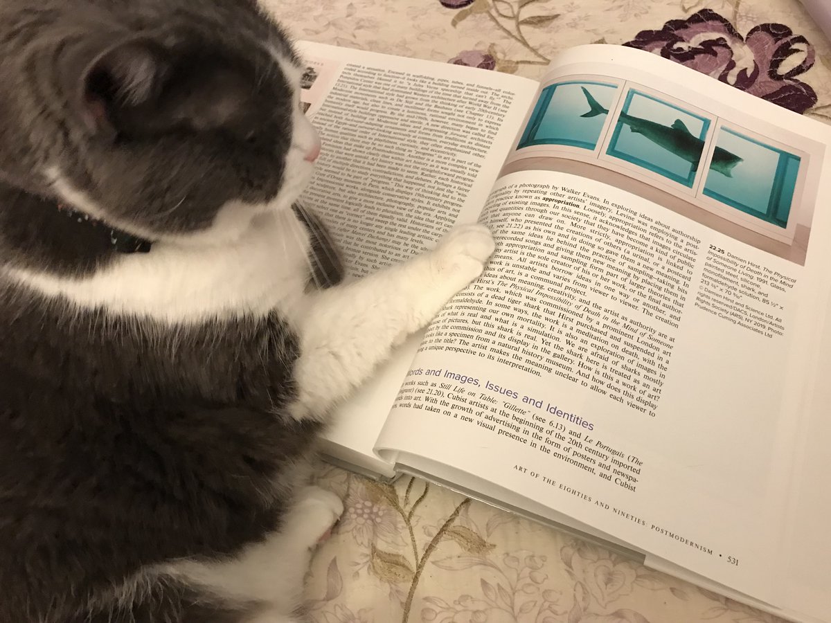 AlysofBath's tweet image. Millie was always a very good study buddy/project assistant. She would probably say project manager.
