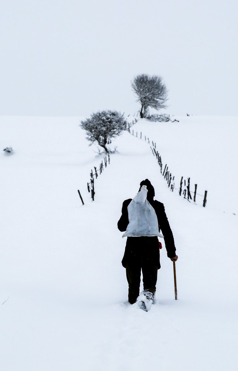 “Karlar içinde.”

2015 yılında, Abana merkeze kar düşmeyince biz kar yağan yerlere fotoğrafa çıkmıştık. 

Bu fotoğrafı da Devrekani ilçesinde çekmiştim.

O sene AA’nın yılın fotoğrafları oylamasında yer almıştı. Efsaneler arasında.